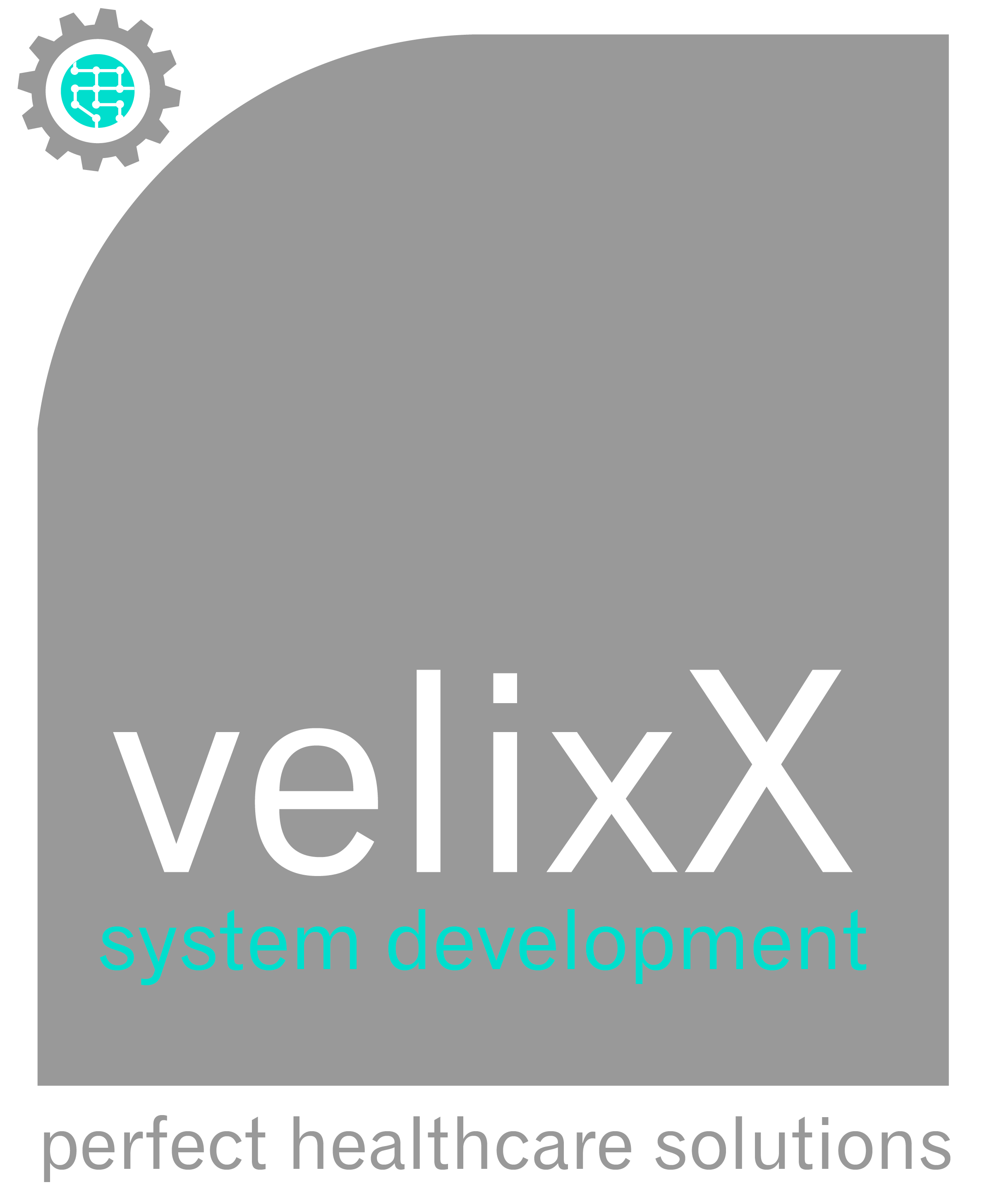 velixX GmbH Logo